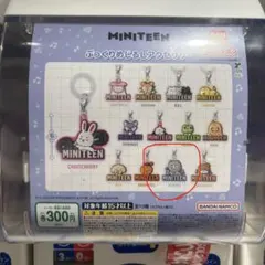 ミニティーン めじるしアクセサリー バーノン