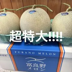 超特大!!!! ふらのメロン3玉 秀品 8キロ - メルカリ