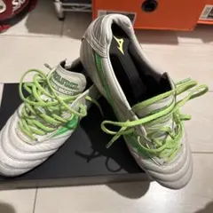 ミズノモレリア