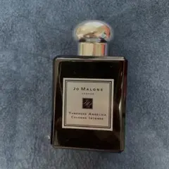 2026年最新】チューベローズアンジェリカの人気アイテム - メルカリ