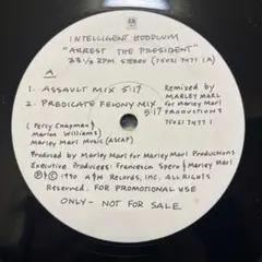 ミドル名盤　Intelligent Hoodlum – Arrest The 〜