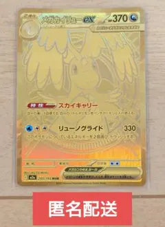 kncard77-4941 メガカイリューex 250/193 MUR - メルカリ