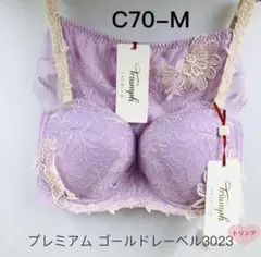 トリンプ プレミアム まゴールドレーベル3023 セットC70-M