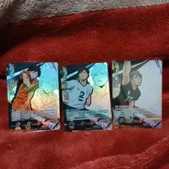 ハイキュー!! BREAK山田忠、二口賢治、宮治 3枚セット