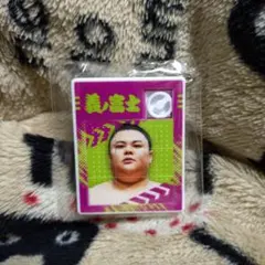 大相撲ガチャ　U-25パズルキーホルダー　義ノ富士