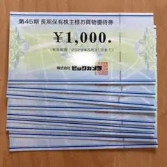 ビックカメラ優待券　9000円分
