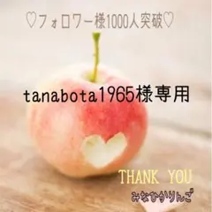 【tanabota1965様専用】美品】【メンズ大島紬】【羽織】藍色 亀甲 瓢箪