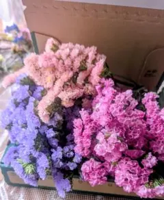 どっと てんてん様 リクエスト 2点 まとめ商品