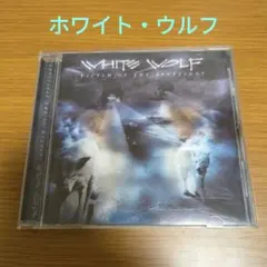 CD）松井常松／ディープ・スカイ 帯付／BOOWY／布袋寅泰／高橋