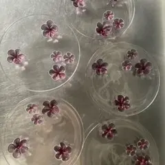 桜模様の透明皿 5枚セット　専用様