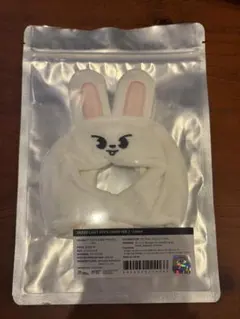 straykids リノ ペンライト セット 2025年最新】straykids ペンライト リノの人気アイテム - メルカリ