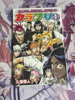 ブリーチ　BLEACH OFFICIAL BOOTLEG カラブリ＋