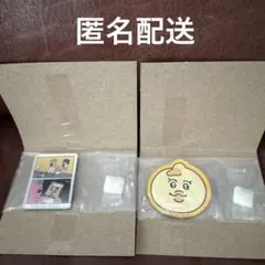 おぱんちゅうさぎ&んぽちゃむ　キャラマグネッツ