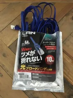 CAT6A LANケーブル 10m フラット ELECOM LD-GFAT 光