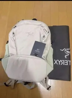 新品、未使用ARC'TERYX Mantis 26 バックパック runeのサムネイル