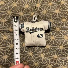 Item thumbnail for item 67311adf-f403-46c5-bab0-0c1a18712453