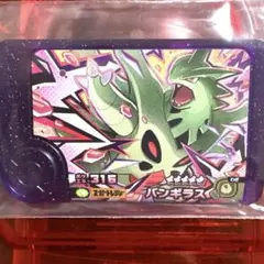 ポケモンフレンダ　ベストタッグ４弾　バンギラス　スーパートレジャー