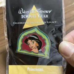 Disney 100th Year ピンバッジセット Disney 100周年記念 ピンバッジセット Disney 100th Year