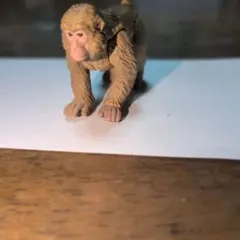 アニア アニアくじ 7 日本の昔話 猿