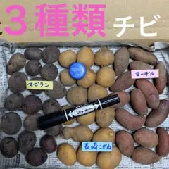 gachipochi様 リクエスト 2点 まとめ商品