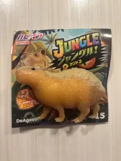 Jungle&co. ジャングル&コーのサムネイル