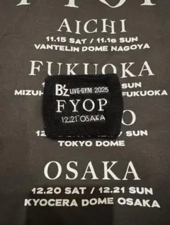 Item thumbnail for item 0dbd6e76-6ba4-4bd9-b8de-e86119834d25