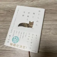 捨てられた僕と母猫と奇跡 : 心に傷を負った二人が新たに見つけた居場所