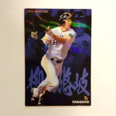 プロ野球チップスカード 柳田悠岐 2017 S-28 - メルカリ