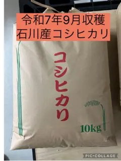 【精米無料】令和7年度新潟県長岡産コシヒカリ20kg玄米【生産農家直販】 精米無料】令和7年度新潟県長岡産コシヒカリ20kg玄米【生産農家直販