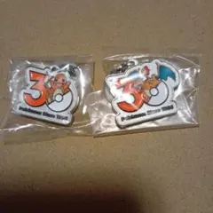 ポケモン　30周年　メタルチャームマスコット　2個セット