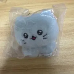 チェゴシム ぬいぐるみ