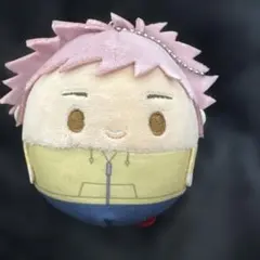 呪術廻戦　虎杖悠仁　ふわコロりん