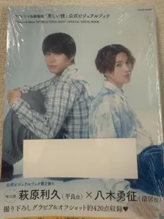 美しい彼 ビジュアルブック 新品 未開封