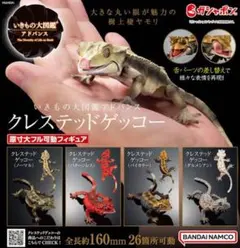 クレステッドゲッコー