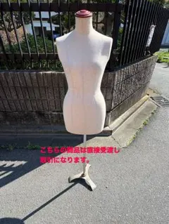 東京キイヤ TOKYO KIIYA トルソー マネキン ボディ レディース 2026年最新】Yahoo!オークション -ボディ キイヤ(トルソー)の中古品