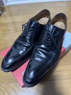Allen Edmonds Brentwood Vチップ 70年代 Allen Edmonds Brentwood Vチップ 70年代 - メルカリ