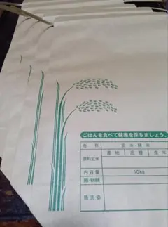 Item thumbnail for item a051e675-e776-407d-8f66-378b56ae6468