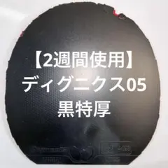 ディグニクス05