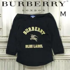 Item thumbnail for item c0b98459-3e0a-4e67-aec9-7ad871cecbe2