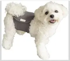 Item thumbnail for item 5a53fe92-cf3b-47c0-8929-cdf324cf2b1d