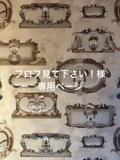 プロフ見てください　様　専用ページ