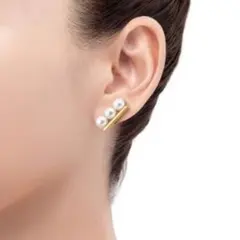 2025年最新】tasaki バランス イヤリングの人気アイテム - メルカリ