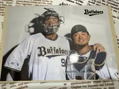 Buffaloes 選手フォト コンビver.