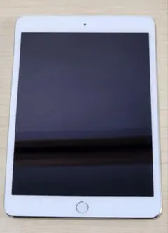 iPad mini 3 16GB docomo セルラー 動作確認済