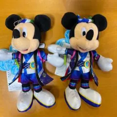 2017 夏祭りディズニー ミッキー  ぬいば