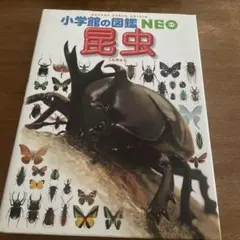 小学校の図鑑NEO 昆虫