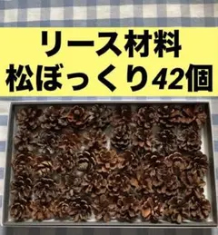 まつぼっくり42個セット・リース材料松ぼっくりまとめ売り