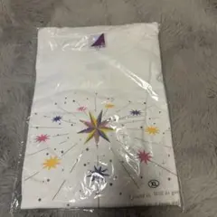 あいみょん ピンクに染まる控えめさんTシャツ 2026 夏フェス XL - メルカリ