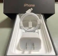 iPhone純正イヤホン付属品　急速充電器セット