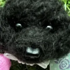 Item thumbnail for item ba189d87-f3d0-4435-9182-ab391ea63f60